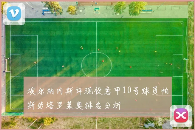 埃尔纳内斯评现役意甲10号球员帕斯劳塔罗莱奥排名分析