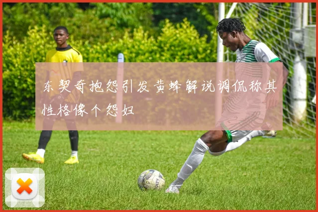 东契奇抱怨引发黄蜂解说调侃称其性格像个怨妇