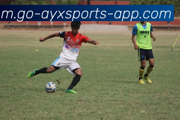 爱游戏体育APP 高清赛事图